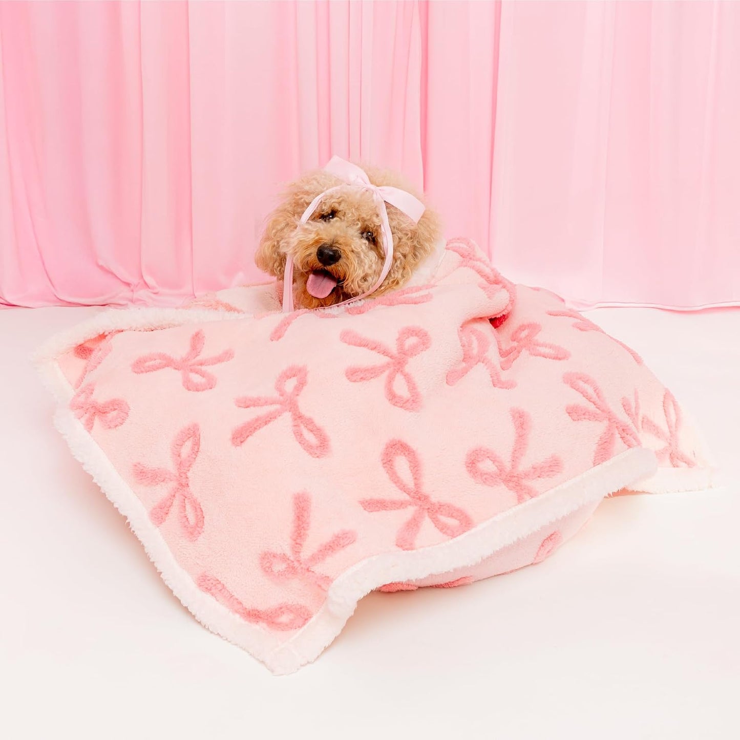 Lesure Waterproof Pet Blanket - Dual-Sided Design & Protects Your Couch